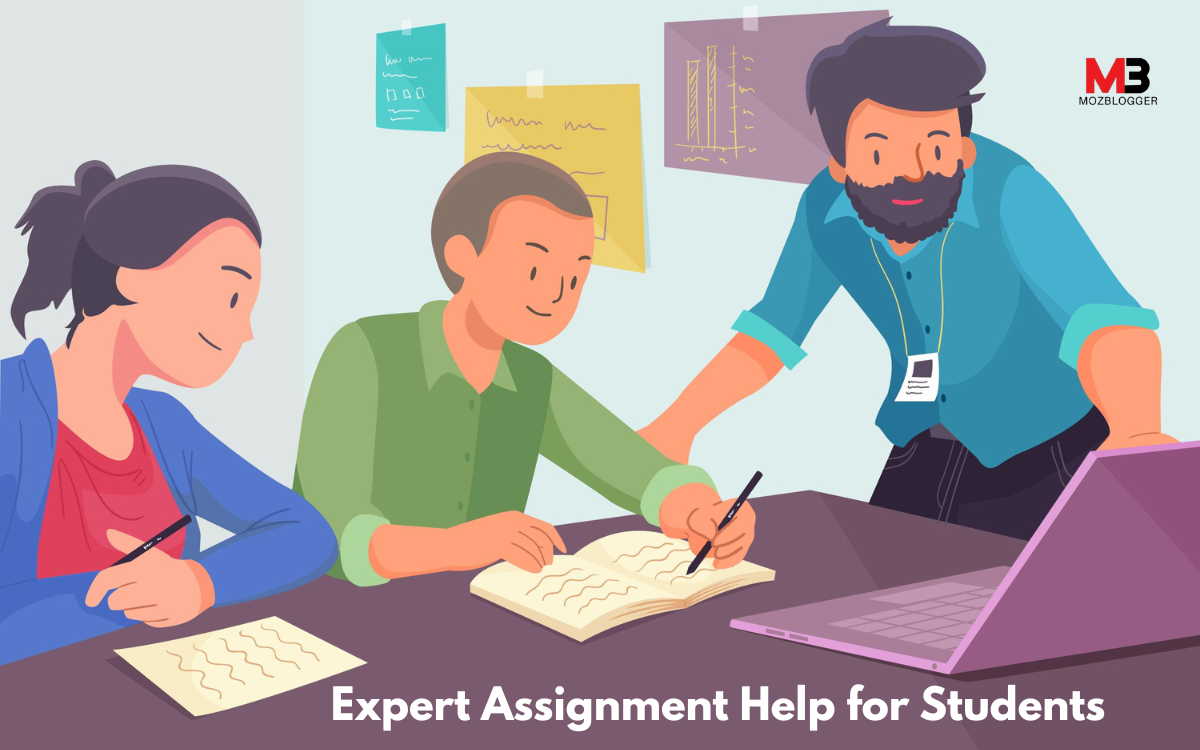 Expert Assignment Help for Students – Get Top Grades Effortlessly